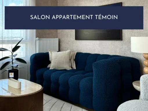 Salon Appartement Témoin
