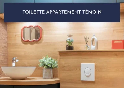 Projet toilette