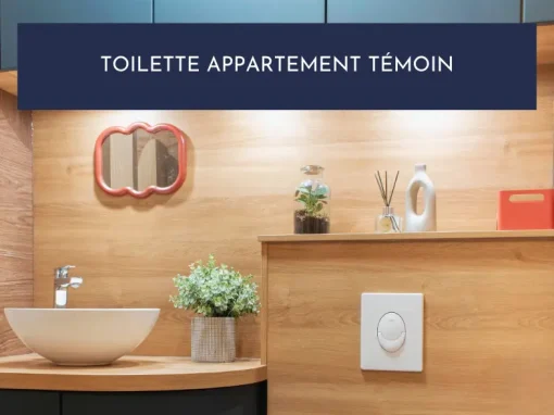 Projet toilette